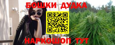 индика Долгопрудный