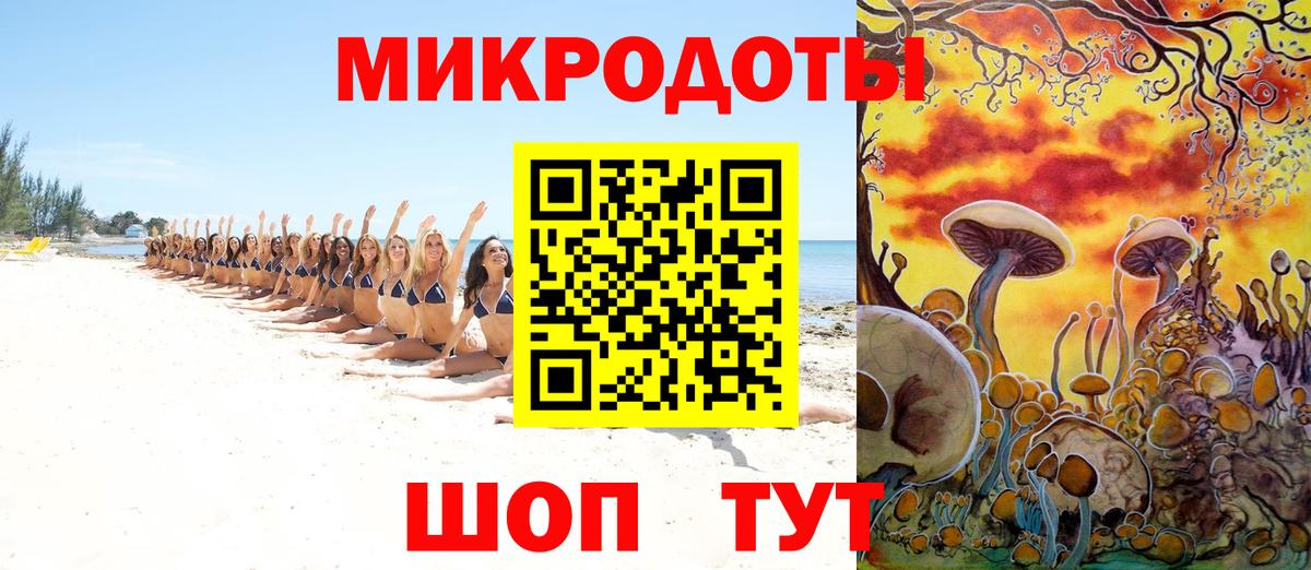 Галлюциногенные грибы Magic Shrooms Вичуга
