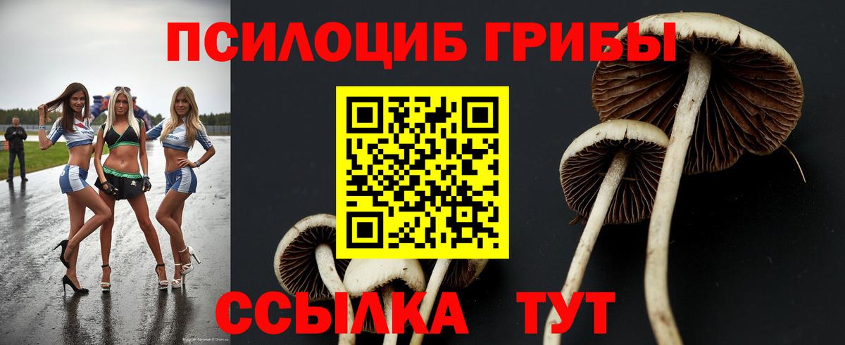 Галлюциногенные грибы Magic Shrooms  Галлюциногенные грибы GOLDEN TEACHER  Вход с VPN  Вичуга 